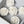 Load image into Gallery viewer, Camellia-white
