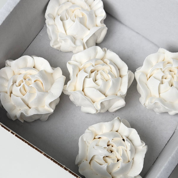 Camellia-white