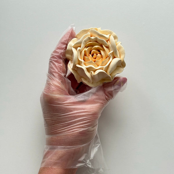 Large Peony - ivory cream