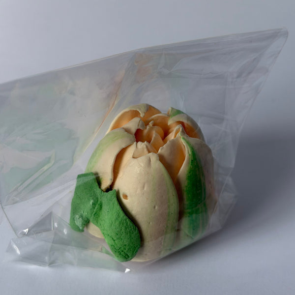 Large Tulip - Clear Bag