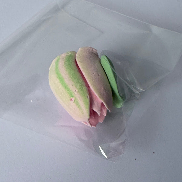 Small Tulip - Clear Bag