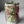 Load image into Gallery viewer, Mix tulips Small_bouquet
