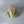 Load image into Gallery viewer, Large Tulip - Clear Bag
