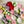 Load image into Gallery viewer, Tulips mix- 8inch
