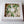 Load image into Gallery viewer, Tulips white- 8inch
