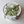Load image into Gallery viewer, Delux tulips - white
