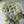 Load image into Gallery viewer, White tulips Small_bouquet
