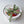 Load image into Gallery viewer, Delux tulips - mix
