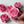 Load image into Gallery viewer, Camellia-bright pink
