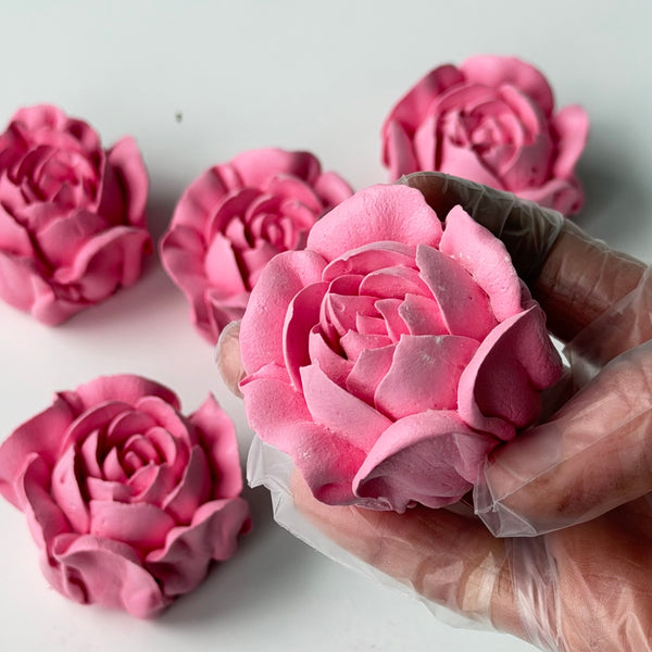Camellia-bright pink