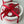Load image into Gallery viewer, Red tulips heart
