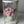 Load image into Gallery viewer, Peony Charm Bouquet
