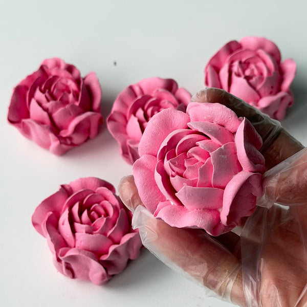 Camellia-bright pink