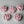 Load image into Gallery viewer, Camellia-blush pink
