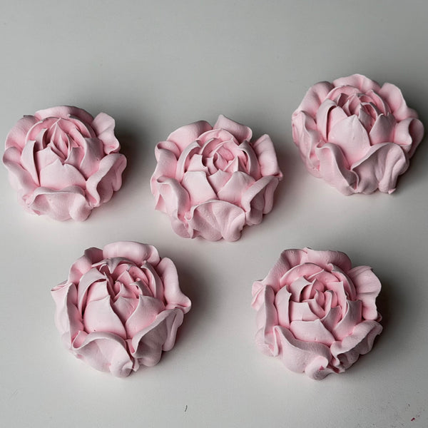Camellia-blush pink