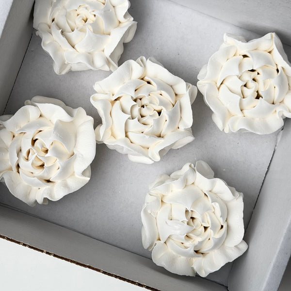 Camellia-white