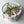 Load image into Gallery viewer, Delux tulips - ivory cream
