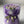 Load image into Gallery viewer, Purple Tulips small_bouquet
