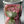 Load image into Gallery viewer, Pink tulips Large_bouquet
