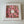 Load image into Gallery viewer, Tulips pink - 8inch
