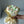 Load image into Gallery viewer, Classic Tulips small_bouquet
