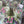 Load image into Gallery viewer, Mix tulips Small_bouquet
