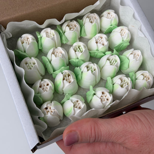 Small Tulip - pure white