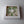 Load image into Gallery viewer, Tulips white- 8inch
