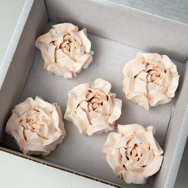 Camellia-ivory