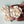 Load image into Gallery viewer, Camellia-ivory
