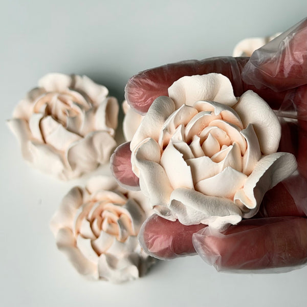 Camellia-ivory
