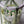 Load image into Gallery viewer, White tulips Small_bouquet
