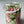 Load image into Gallery viewer, Pink tulips Small_bouquet
