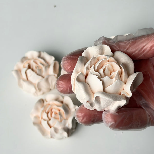 Camellia-ivory