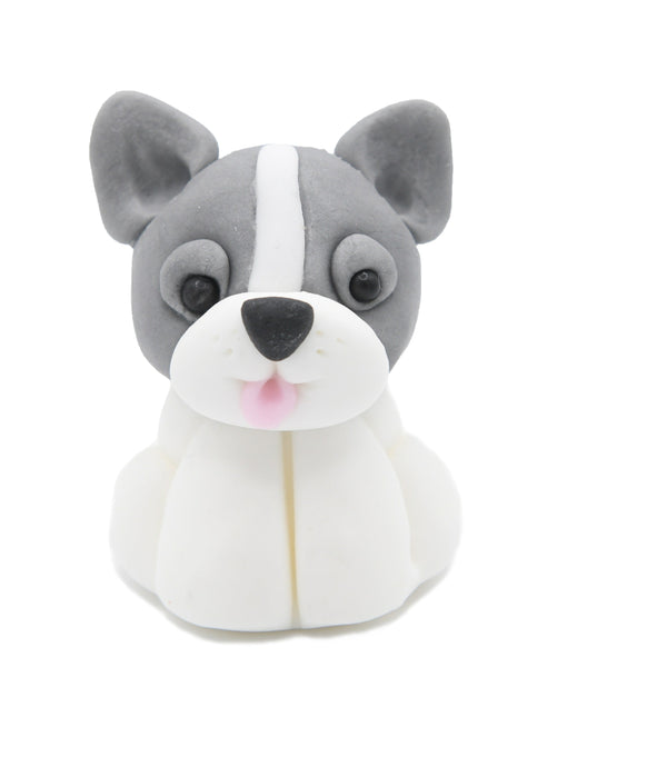 Puppy G / TSP0171
