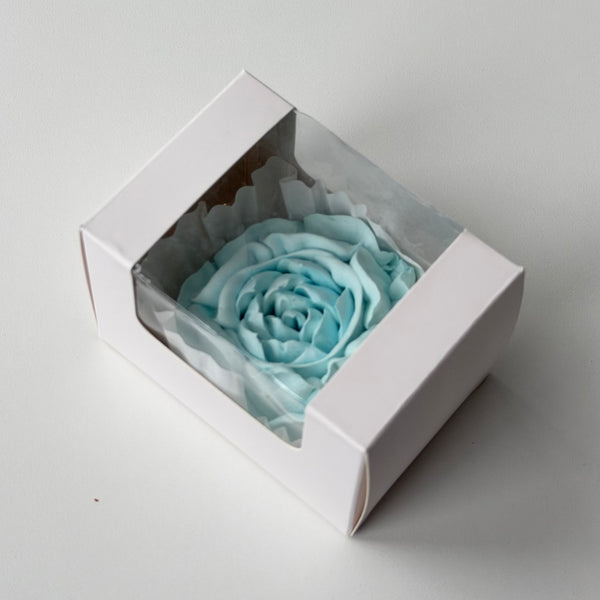 Large Peony - Window Box