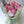 Load image into Gallery viewer, Classic Tulips small_bouquet
