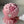 Load image into Gallery viewer, Peony Bouquet
