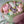 Load image into Gallery viewer, Mix flowers Small_bouquet

