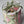 Load image into Gallery viewer, Mix tulips Small_bouquet
