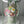 Load image into Gallery viewer, Deluxe Bouquet
