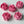 Load image into Gallery viewer, Camellia-bright pink
