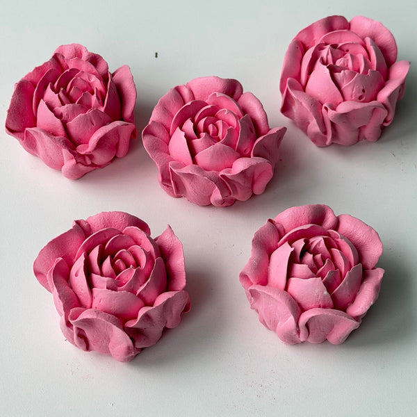 Camellia-bright pink