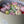 Load image into Gallery viewer, Mixed Tulips - Large Gift Box -7”
