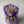 Load image into Gallery viewer, Purple Tulips small_bouquet
