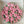 Load image into Gallery viewer, Tulips pink - 8inch
