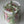 Load image into Gallery viewer, Mix flowers Small_bouquet
