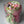 Load image into Gallery viewer, Mix tulips Small_bouquet
