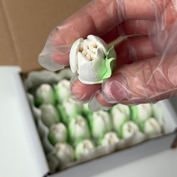 Small Tulip - pure white