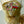 Load image into Gallery viewer, Mix tulips Gold Large_bouquet
